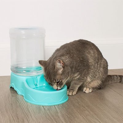 Distributeur de croquettes pour Chat | Automatique Programmable - Château Miaou