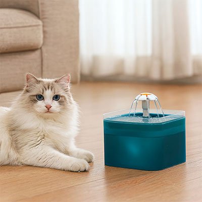 Fontaine a eau Chat | HydroFresh - Château Miaou