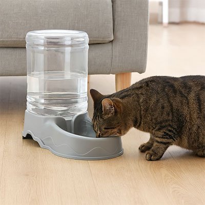 Distributeur de croquettes pour Chat | Automatique Programmable - Château Miaou