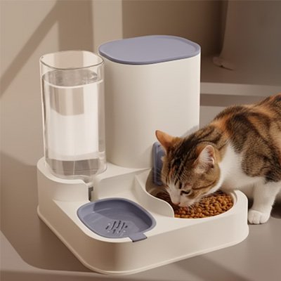 Distributeur de croquettes pour Chat | Programmatic - Château Miaou