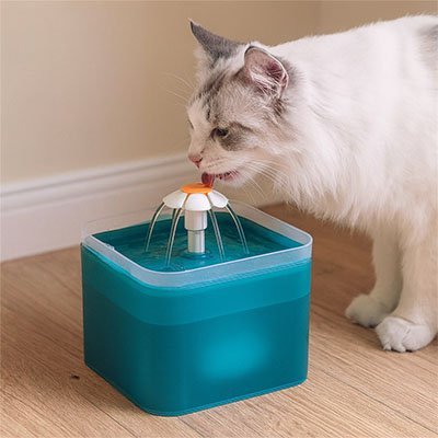 Fontaine a eau Chat | HydroFresh - Château Miaou