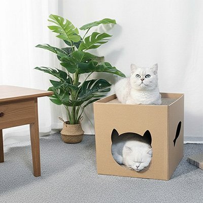 Maison en carton pour chat | EcoNest - Château Miaou